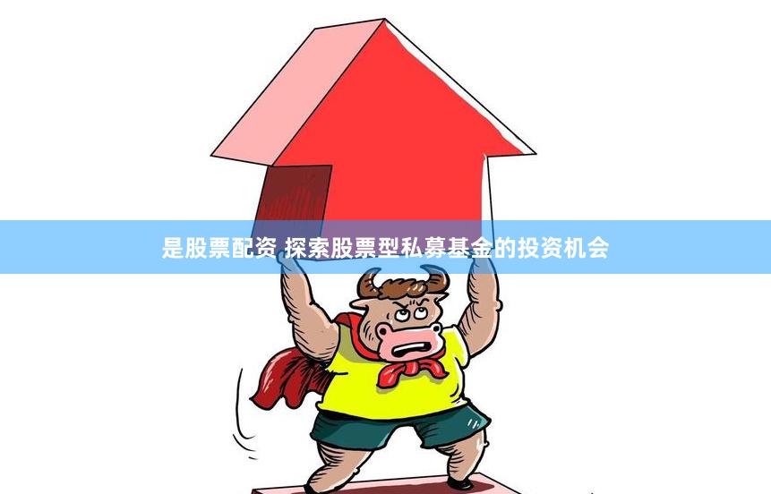 是股票配资 探索股票型私募基金的投资机会