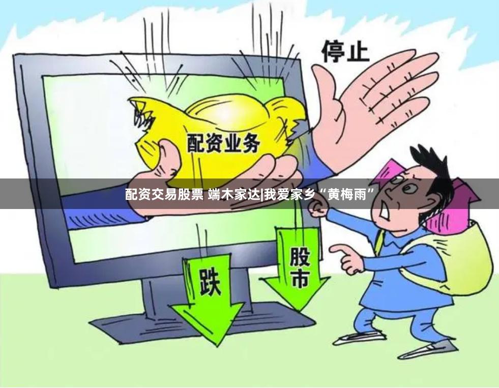 配资交易股票 端木家达|我爱家乡“黄梅雨”