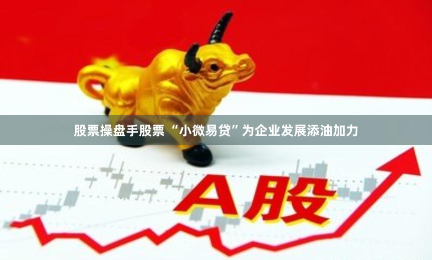 股票操盘手股票 “小微易贷”为企业发展添油加力